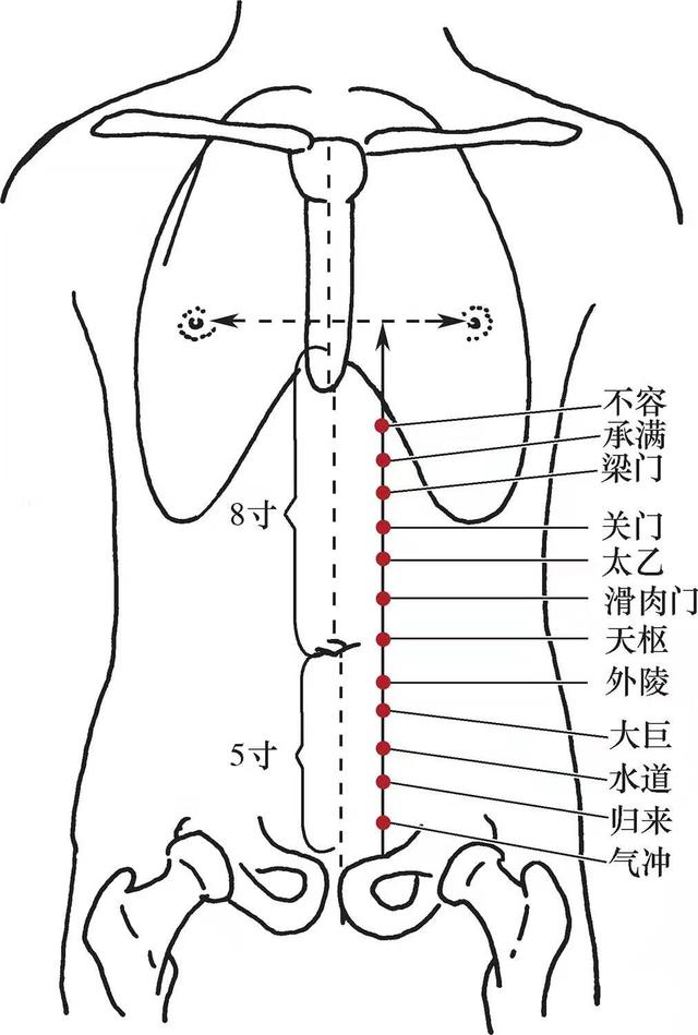 筋缩的准确位置图图片