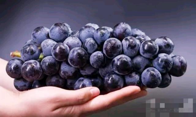 想孩子出生后眼睛好看，是个大眼萌娃，孕期建议妈妈多吃两种水果