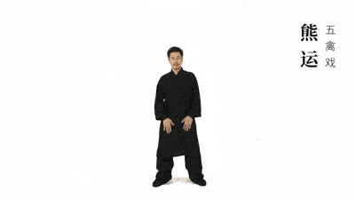 养生气功五禽戏教学（仙家秘传五禽戏：健康长寿）