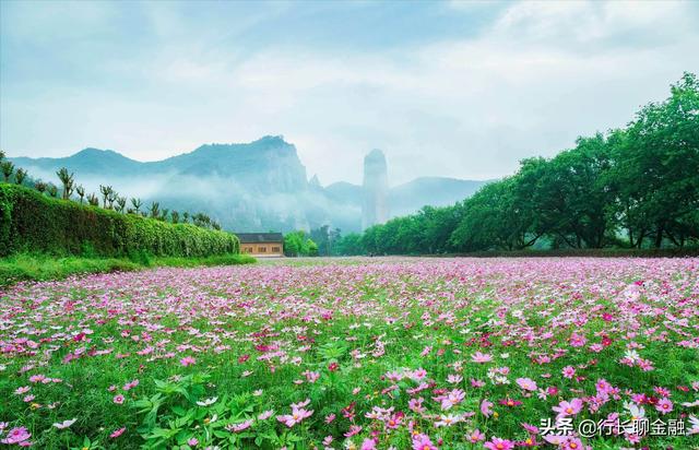 浙江“小县城”的房价为何如此“突出”？