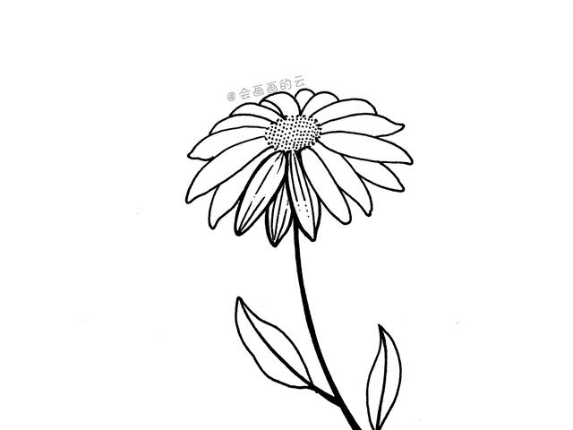 菊花怎么画简单又好看(三款适合零基础画的小雏菊)