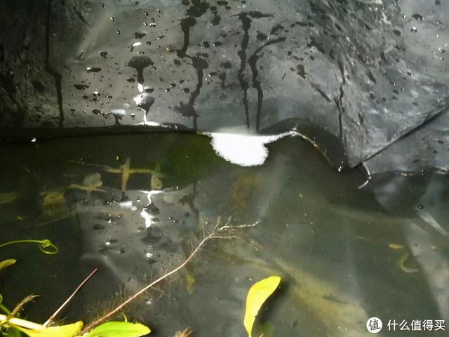 大蜗牛制砂机