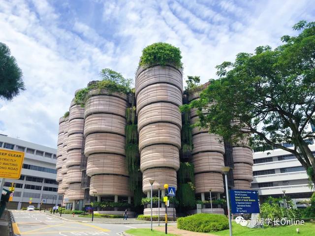 「海派學長」關于新加坡留學申請指南