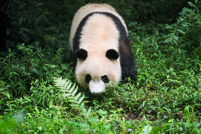 国家级风景名胜区名单