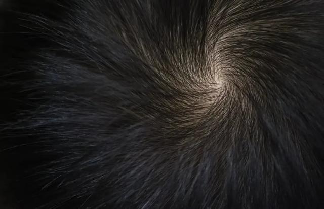 头顶2个旋和1个旋的孩子有何不同？两个旋更聪明？科学研究这样说