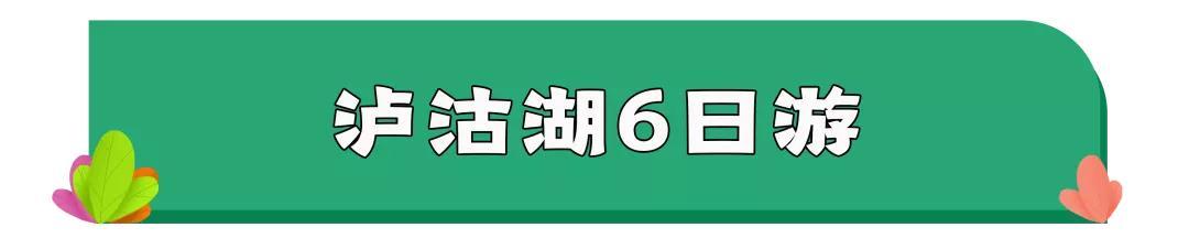 东川区双螺旋洗砂机