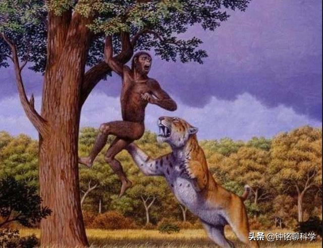 人类都是早产儿？科学家：怀孕21个月才足月，自然选择使人类早产