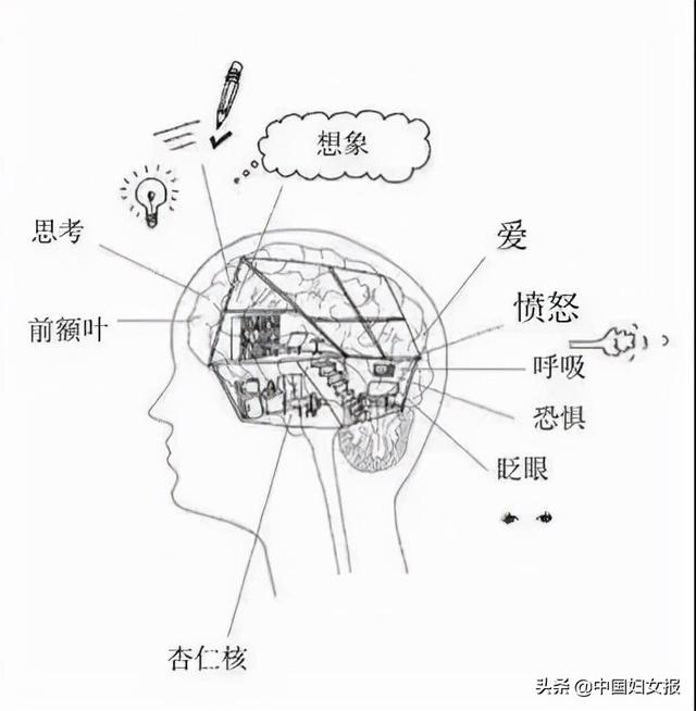 “特殊时期 特别家教”(总764期)