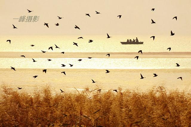 “中原煤仓”平顶山，“荡尽烟尘”展新颜