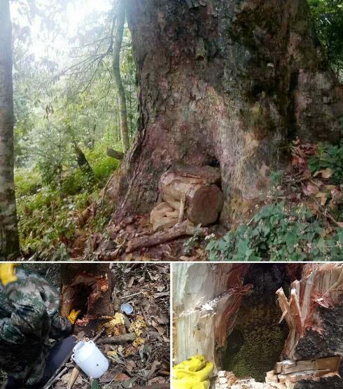 德宏板框自动压滤机