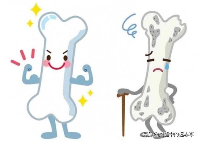 骨折，骨质疏松？送你六味中药，阴阳双补，活血化瘀