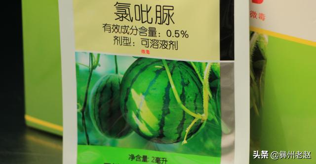 西瓜栽培技术：巧用氯吡脲“兑瓜”，让西瓜增产50%8