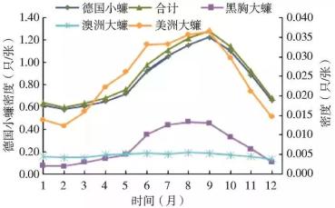 蟑螂吃什么