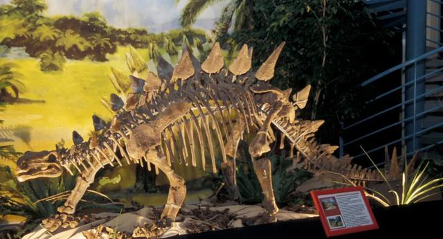 德化印刷机械展公司