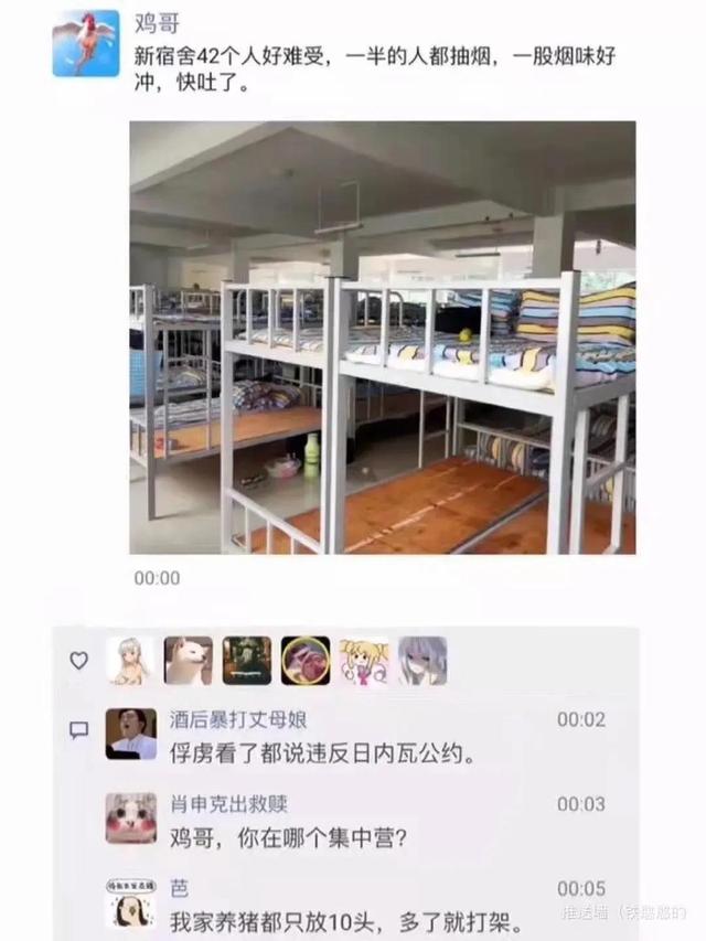一个寝室住42个人是什么体验 全网搜