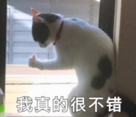 实测“卷尺终结者”小猴测距仪！0.2s反应达30m，有波音737那么长