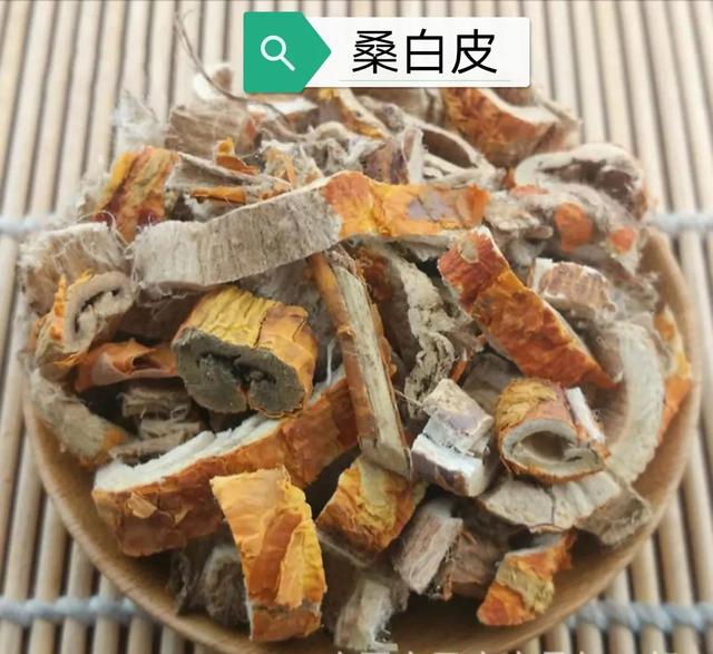 中药古今研究：桑白皮