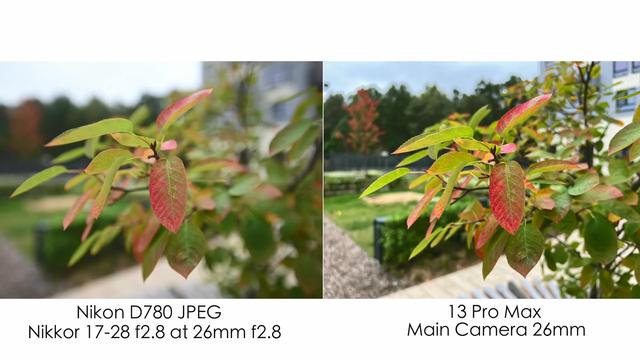 iPhone13ProMax和尼康D780实拍对比：差别比想象得要大