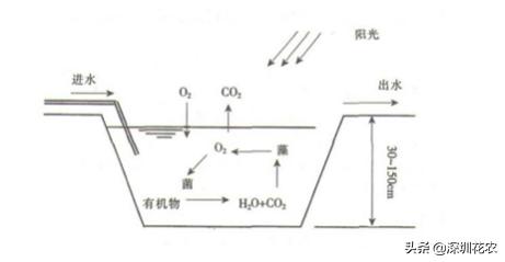 昆明洗砂机经销商建湖