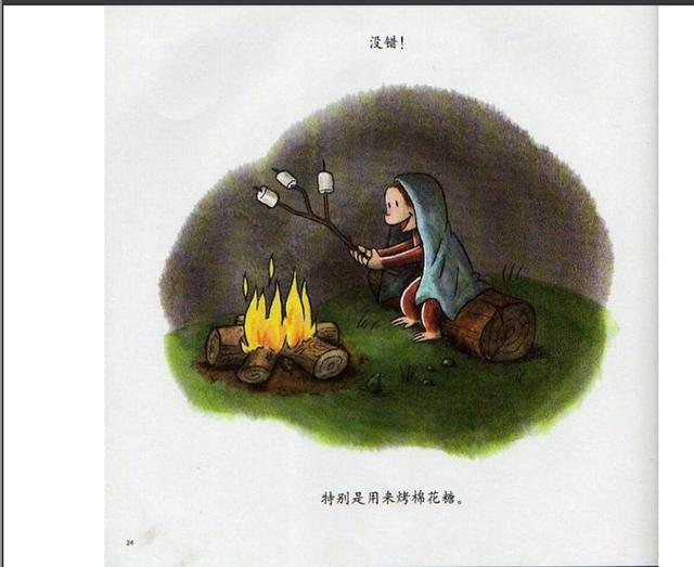 绘本导读系列83《好奇的乔治去野营》