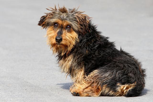 我的孩子为什么就是没有学习的动力？