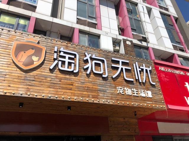 宠物专卖店