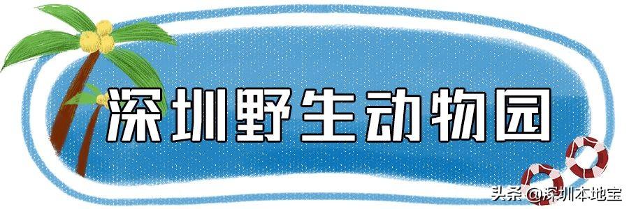 终于来了！野生动物园、海洋世界、东部华侨城...特惠低至19.9元