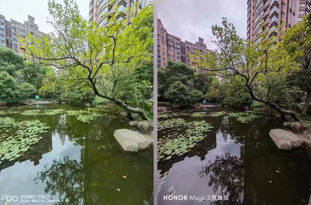 华为P50Pro和荣耀Magic3至臻版，影像对比，曾经的小弟翻身了吗？