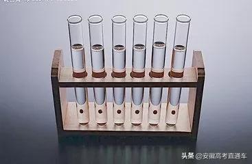 酵母菌属于什么生物