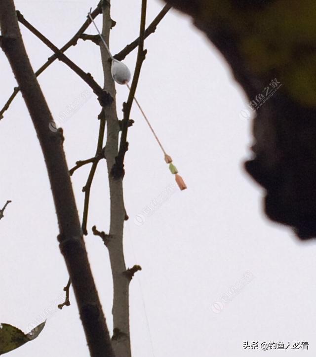 钓鱼浮标:不同价位浮漂的选择和区别，便宜的就瞧不起？适合自己最重要