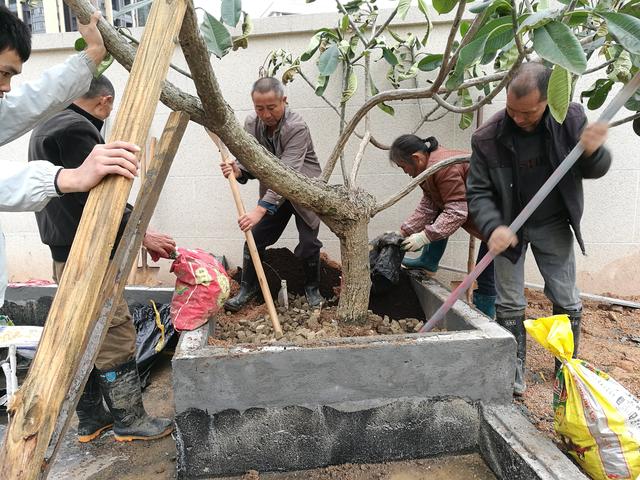 平方陶瓷过滤机造价