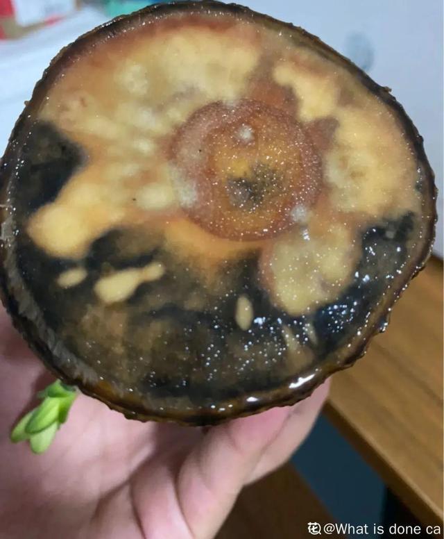 碰碰香有毒吗 碰碰香有毒吗（植物碰碰香有毒吗） 生活