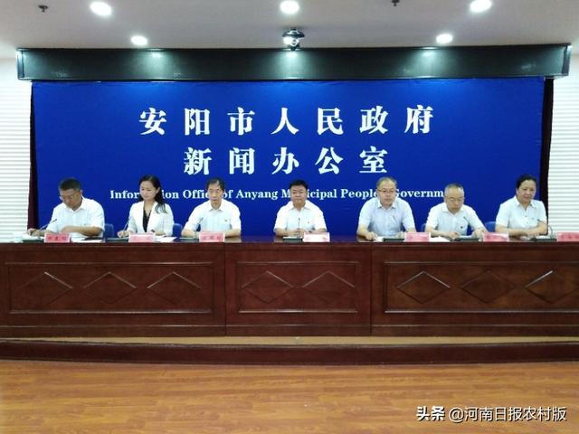 审批时限压缩一半！安阳市工程建设项目审批制度改革，全面按下“加速键”