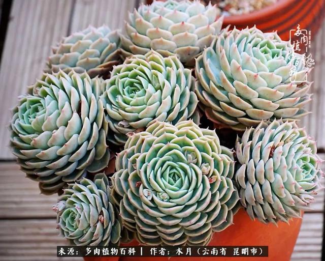 安康石英砂洗砂机厂家电话