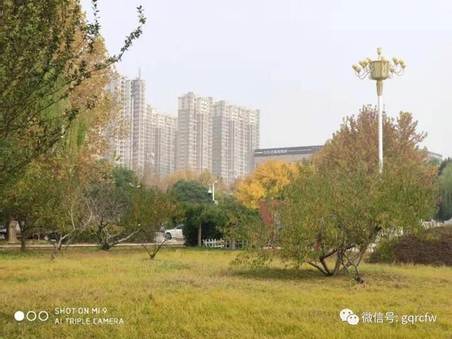 幻影忍者重锤破碎机的简单介绍