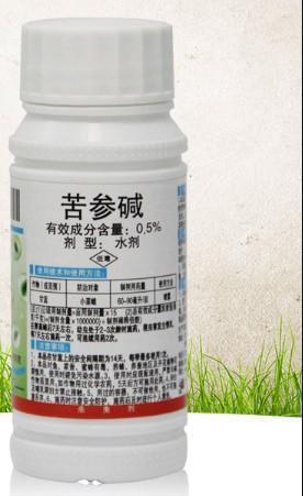 家里的花又招蚜虫了？用这2种药，统统都消灭6