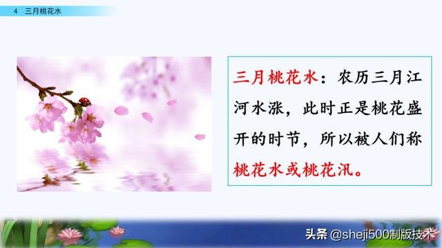 什么的桃花（什么的桃花填形容词）