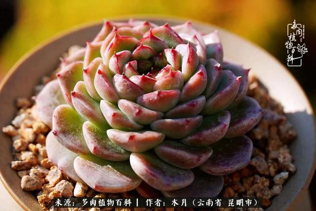 安康石英砂洗砂机厂家电话