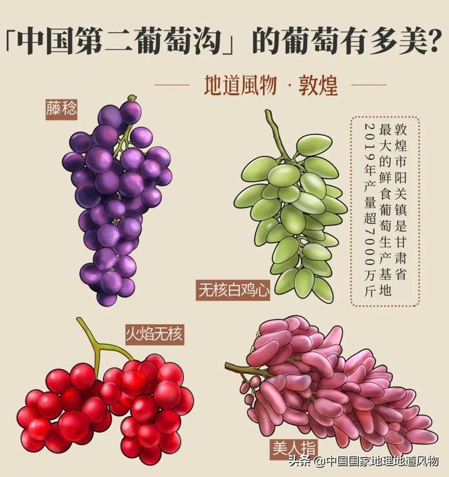 定西洗砂机价格