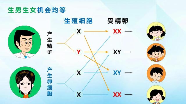 “希望眼睛能像爸爸的多眼皮，生完一看，完蛋，内双肿眼泡儿。”