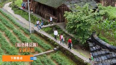 孙莉向往跳舞(孙莉向往的生活)