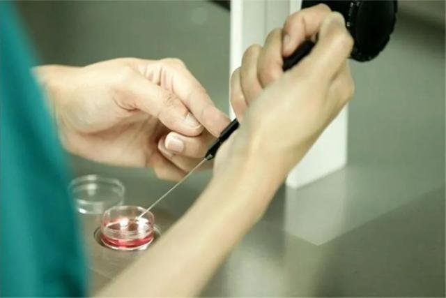 盛海琳：60岁老人突遭人生变故，无奈之下，冒死选择“试管婴儿”