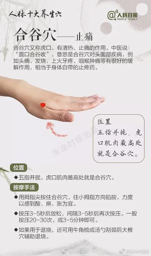 世界传统医药日丨 生活处处有中医，今天你认真养生了吗？