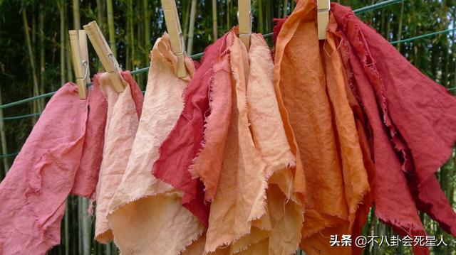 有哪些好看的古装剧推荐（10部造型辣眼的古装剧）