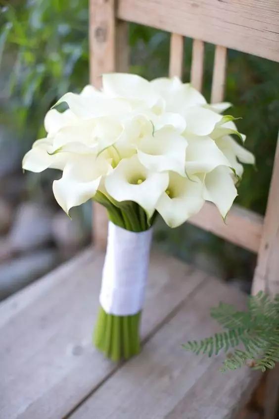 马蹄莲花语 马蹄莲花语（马蹄莲花语象征与寓意） 生活