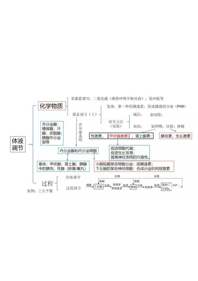 体液调节