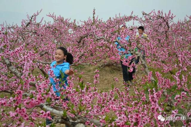 秦安蜜桃：传说唐王李世民想吃家乡的蜜桃，遂成为贡品2