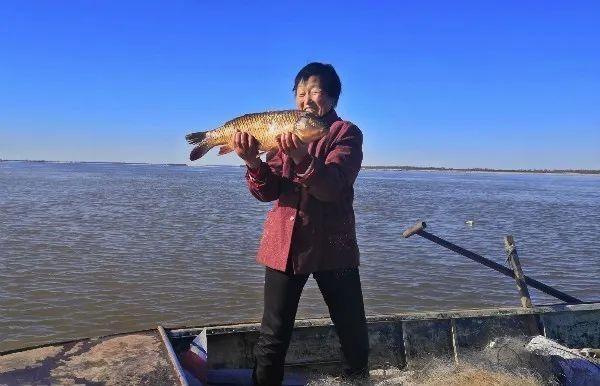 长治饲料破碎机