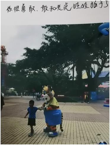 关于几年来的同伴介入回忆录（下）