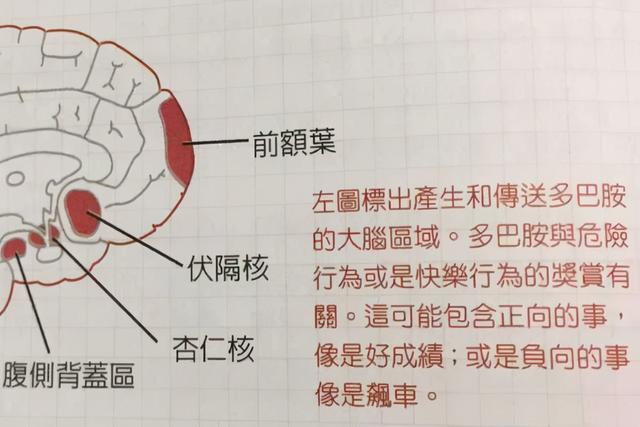 如何饮食快乐又让自己营养健康？